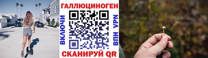 Псилоцибиновые грибы мицелий  купить наркотики сайты  Пучеж 