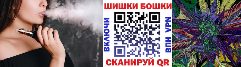 где купить   Пучеж  Бошки Шишки ГИДРОПОН 